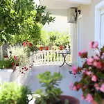 Narta * Vlorë